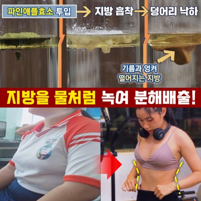 (뱃살녹이는!)아임파인 파인애플발효효소