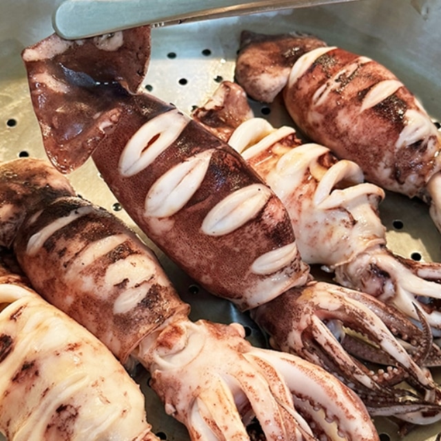 살이 통통하게 오른 통찜용 총알오징어