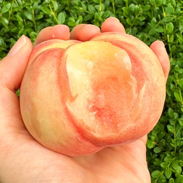 [kg당 5,980원]쫀득한 반납작 대극천 복숭아 2.5kg,5kg