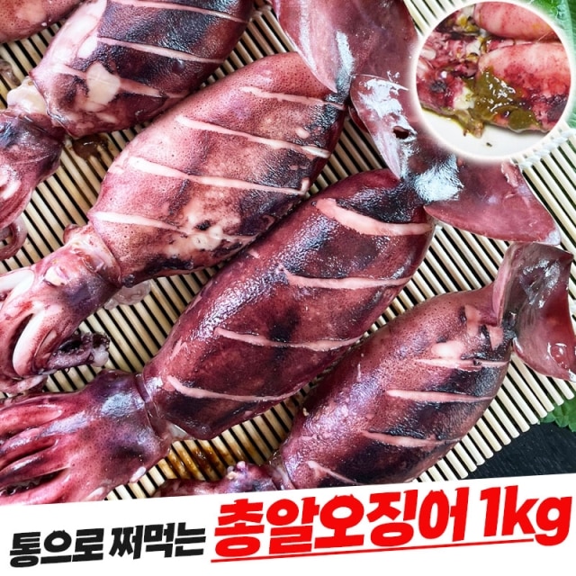 포항 총알오징어1kg