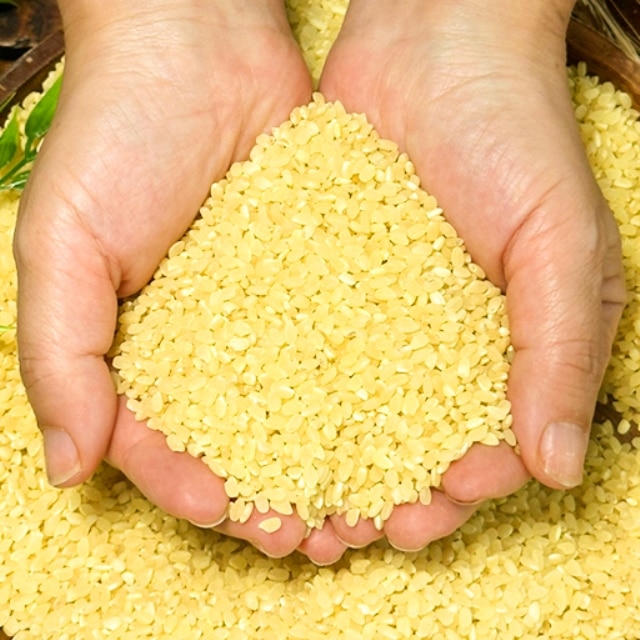 암,혈당조절엔 상황버섯쌀 1kg/2kg