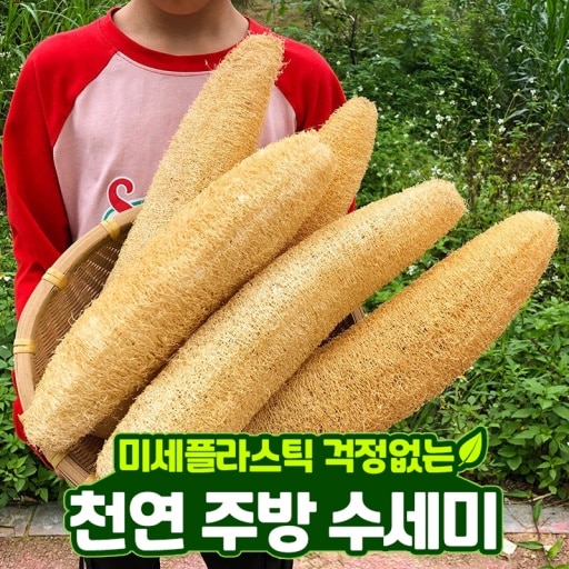 자연이 선물한 바게트수세미